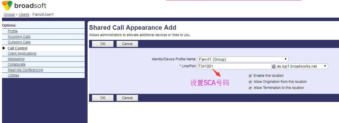 Интерфейс настройки номера SCA